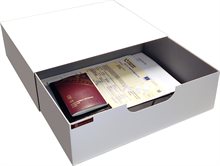Utdragbar Förvaringslåda INS370