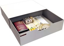 Utdragbar Förvaringslåda INS410